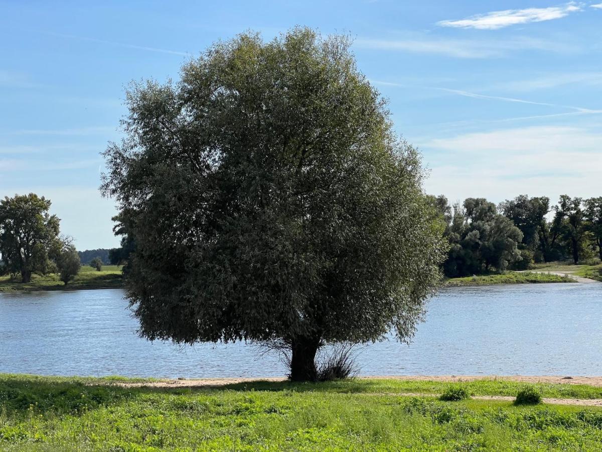 Отель Alte Fischerkate 3*